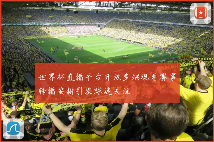 世界杯直播平台开放多端观看赛事转播安排引发球迷关注